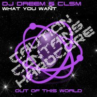 What You Want - DJ DREEM & CLSM