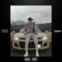 Net - Zed