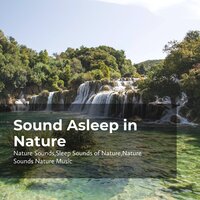 Dreamy Forest Melody - Nature Sounds & Nature Sounds Nature Music & Sleep Sounds Of Nature