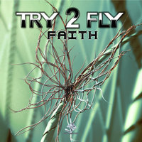 Magnetic Field - Try2Fly