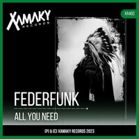 All You Need - FederFunk