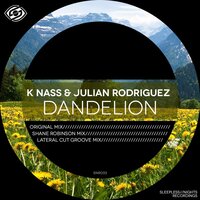 Dandelion - Julian Rodriguez & K Nass & Shane Robinson