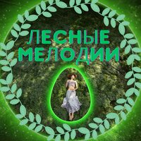 Лесные Шорохи - Звуки для снятия стресса