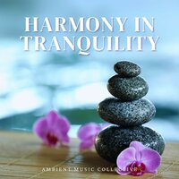 Gentle Night - Ambient Music Collective