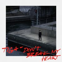 Don’t Break My Heart - Tiga & Shiba San