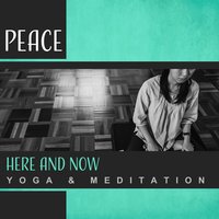 Relaxing Meditations - Yoga Training Music Sounds