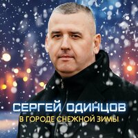В городе снежной зимы - Сергей Одинцов