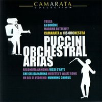 Tosca:  'E Lucevan Le Stelle' (Theme) - Camarata And His Orchestra