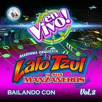 Las Pegaditas de Lalo 1: El Valle de la Ermita / Alegres Taxistecos - Marimba Orquesta Lalo Tzul y Sus Manzaneros