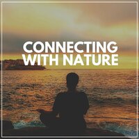 Natural Calmness, Pt. 28 - Sounds of the Forest
