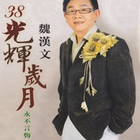 永恆的記憶 - 魏漢文
