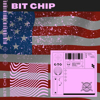 Bit Chip - David C. Hëwitt