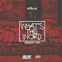 What's the Word - Intalek
