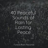 Medium Campfire - Music For Absolute Sleep & Binaural Beats Brain Waves Isochronic Tones Brain Wave Entertainment & Relaxing Nature Music