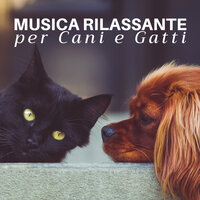 Musica Rilassante Relax - Meditazione Zen