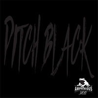 Darkness Falls - Amphibious Zoo Music