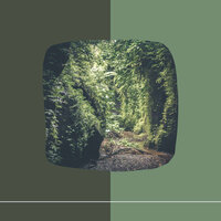 Deluxe Moods for Lazy Days - Coffee Shop Jazz Piano Chilling