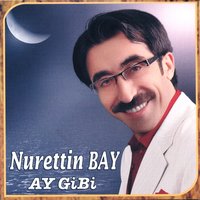 Gülfidan - Nurettin Bay