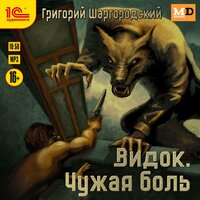 Григорий Шаргородский. «Видок. Чужая боль». Часть 23 - Игорь Ломакин
