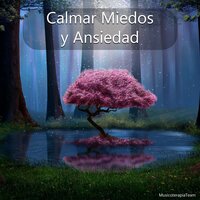 Alivio del Estrés - MusicoterapiaTeam