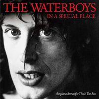 The Whole Of The Moon - The Waterboys
