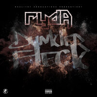 Dunkler Fleck - Ryda