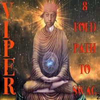 Witot Instruction - Viper