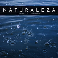 Lluvia Vacacional - Relajacion Meditar Academia & Sonidos de lluvia & Relajantes sonidos de lluvia
