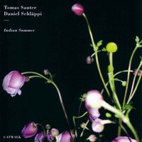 Indian Summer - Tomas Sauter/Daniel Schläppi & Daniel Schläppi & Tomas Sauter