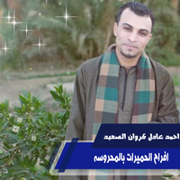 افراح الحميرات بالمحروسه - احمد عادل كروان الصعيد