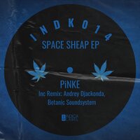 Cloudy Morning in My House - Pinke & Andrey Djackonda