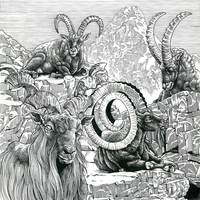 GOAT - BILL STAX & C JAMM & swings & C Jamm