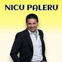 Nunta mare - Nicu Paleru