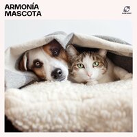 Mascota Zen - Relax para Perrors Maestro & Relajado Musica Relajante para Perros & Biblioteca de Música Para Mascotas & Meditación para Perros
