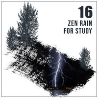 Rhythmic Rain (Suitable for Sleep) - Nature & Sounds Backgrounds, 125 Nature Sounds, Nature's Symphony & 125 Nature Sounds & Nature & Sounds Backgrounds & Nature's Symphony