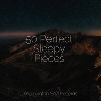 Warm Feelings Inside - Bedtime Baby & Restless Baby Music & Sonidos De La Naturaleza