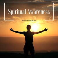 7 Chakras - Temple of Massage Tribe & Buddha Zen Spa & Buddha Zen Spa & Temple of Massage Tribe