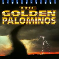 A Letter Back - The Golden Palominos