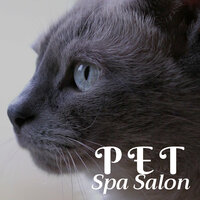 Soothing Space - Cat Whisper