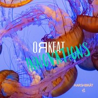 Innovations - Orkeat