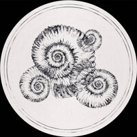 Tiziani - Fossil Archive & Sterac & Roberto