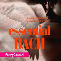 Brandenburg Concerto No. 4 In G Major, BWV 1049: II. Andante - Orchestre symphonique de Winterthur & Johann Sebastian Bach