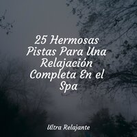 Filosofía - Meditar Profundamente & Saludo al Sol Sonido Relajante & Música Relajante para Perros
