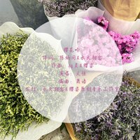 樱花吟 - 义恒