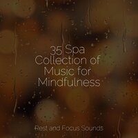 Two Teaspoons of Mellow - Relaxing Sleep Music & Study Zone & Pro Sound Effects Library