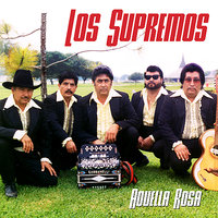 Y - Los Supremos