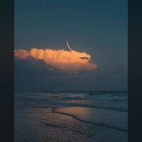 You - BBBLUELEE