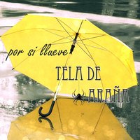 Bandera Blanca - Tela De Araña