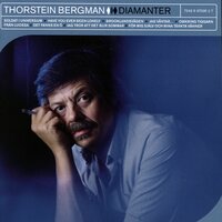 Du kom försent - Thorstein Bergman