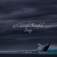 Pouring Rains - Rising Higher Meditation & Pure Serenity Spa Music & Massage Collective Garden & Zen Relaxation Meditation & Yoga Workout Music